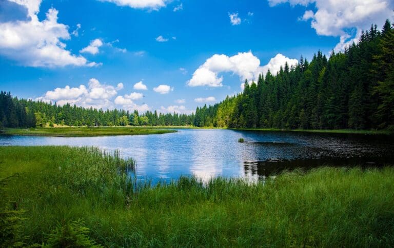 Seguin River Lake
